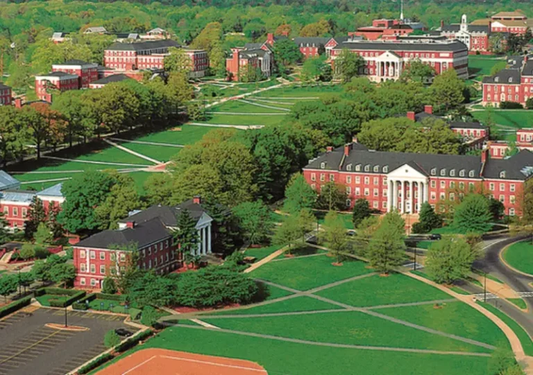 Best Online Colleges For Cybersecurity In The USA