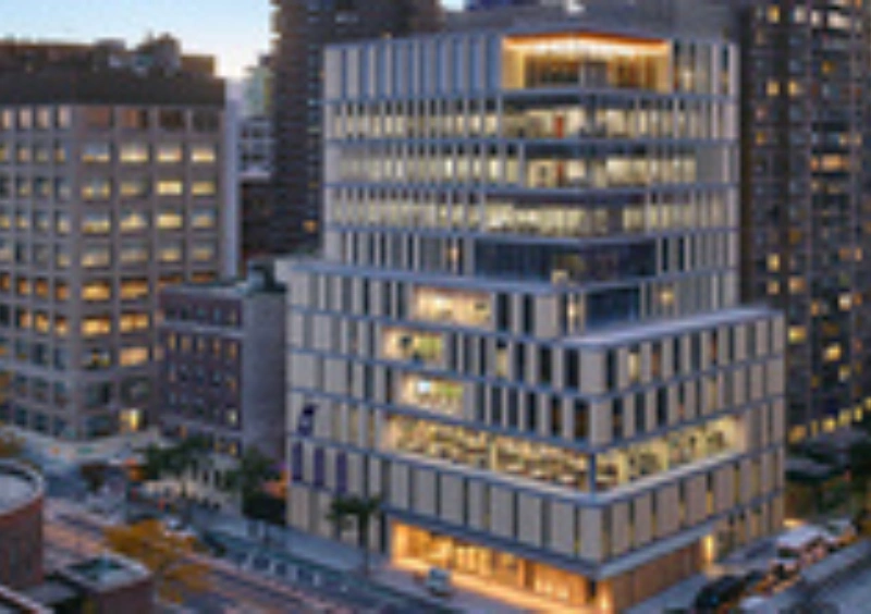 New York University (NYU) Rory Meyers College of Nursing New York University (NYU) Rory Meyers College of Nursing